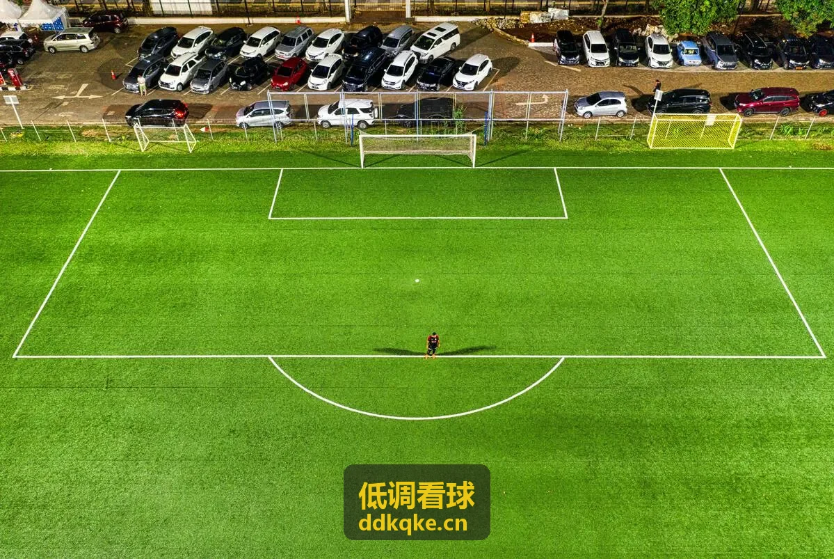 低调看球为科技企业提供赛季分析